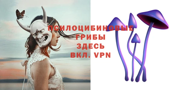 ПСИЛОЦИБИНОВЫЕ ГРИБЫ Володарск